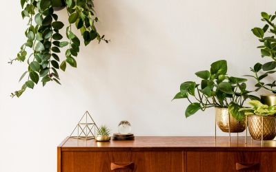 Eye Catching Ways to Decorate With Plants